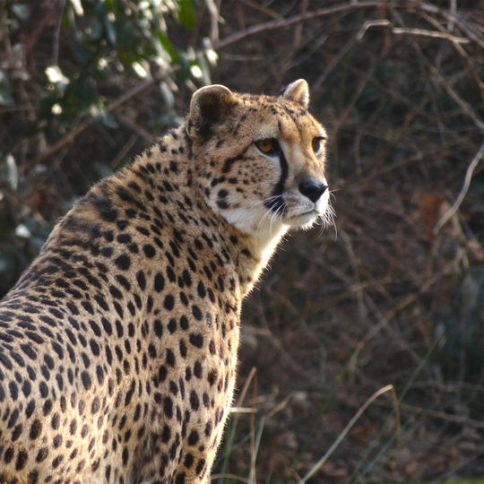 Parco faunistico La Torbiera