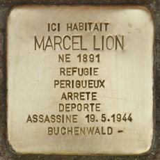 Marcel Lion