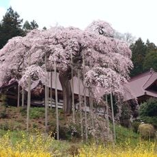 慈徳寺