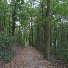 Landschaftsschutzgebiet Schloßberg Homberg