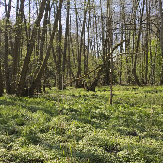 Naturschutzgebiet Rohrwiesenbachtal und Eisenberg bei Schlitz