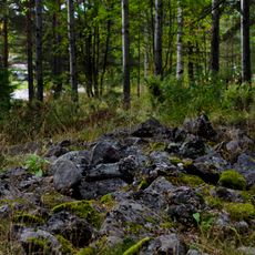 Skellefteå stad 24:1
