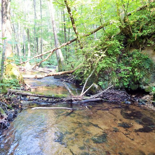 Bražuolės tufų atodanga