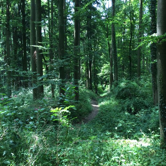 Burgstall Gegenpoint