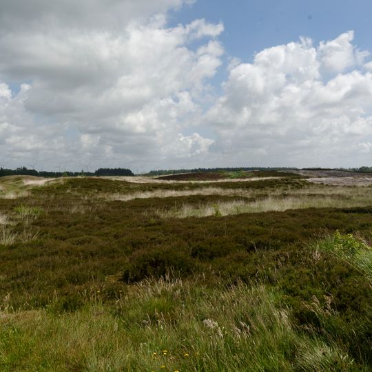 Lütjenholmer und Bargumer Heide