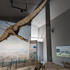 Museo paleontologico