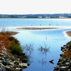 Limnothalassa Angelochoriou