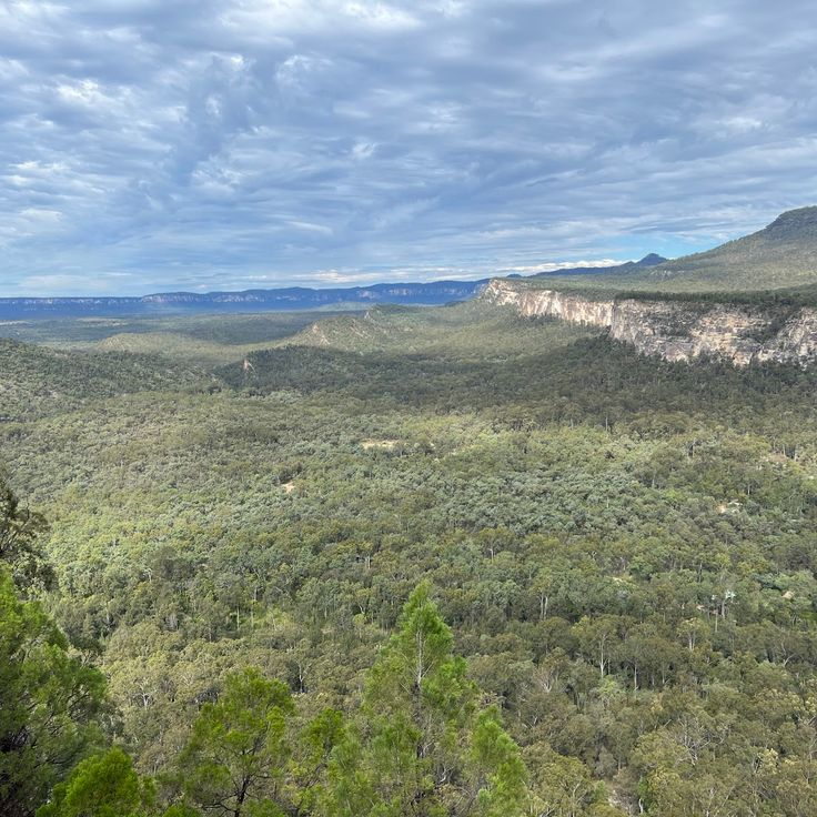 Carnarvon Gorge