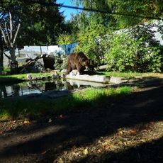 Tier- und Kulturpark Bischofswerda