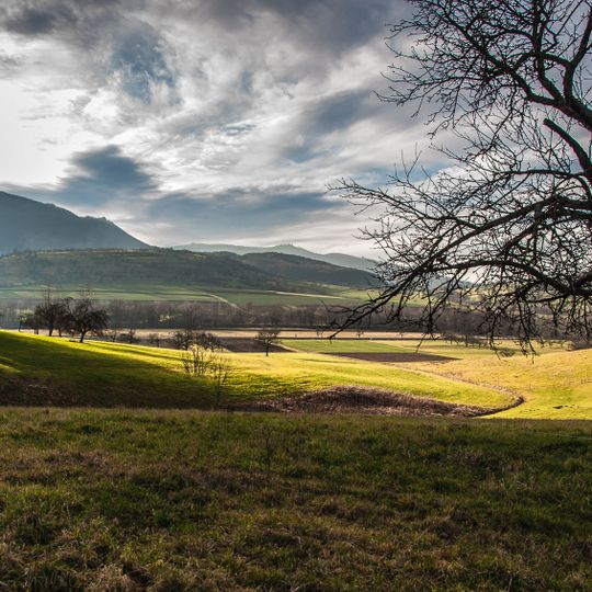 LSG "Weilheim an der Teck auf Gemarkungen Weilheim und Hepsisau" vom 23.01.1979