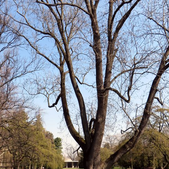 Spa park in Poděbrady