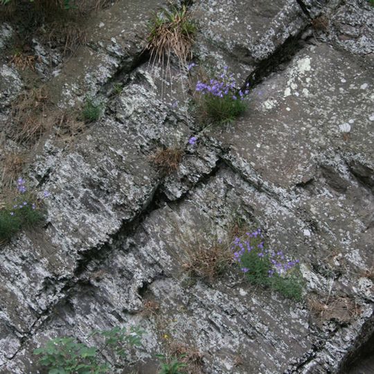 Silikatfelsen an der Sieg