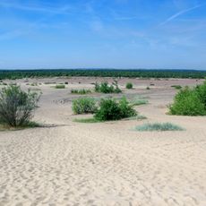 Deserto di Błędów