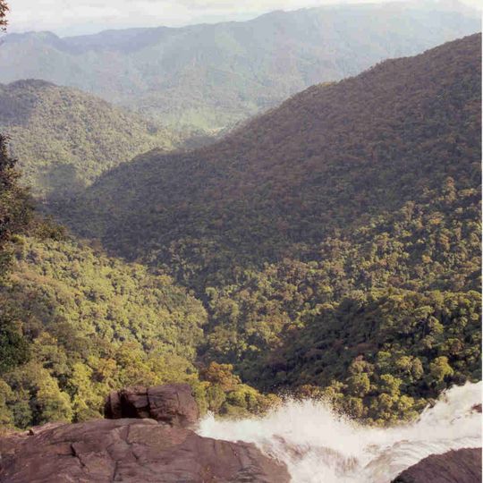 Parco nazionale di Bach Ma