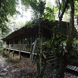 Tiputini Biodiversity Station