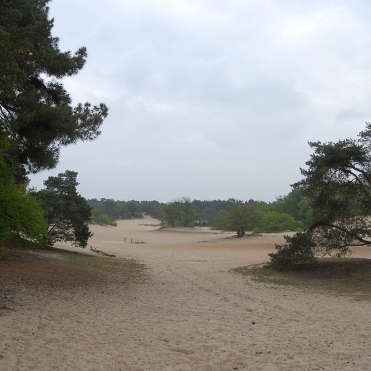 Van Gogh National Park