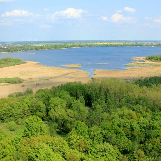 Großer Teich Torgau und benachbarte Teiche