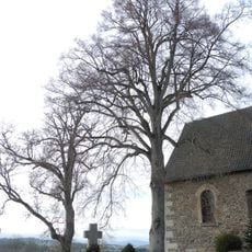 Esche und Linde an der Kirche Fürstenberg