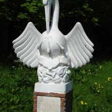 The pelican