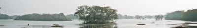 Panoramic View 2