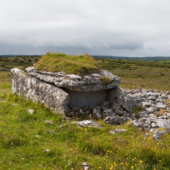 Parknabinnia Wedge Tomb