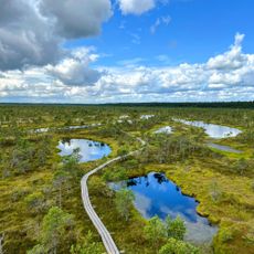 Lookout tower in Great Ķemeri Bog