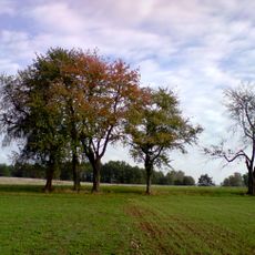 Stromořadí za Kostelní Radouní