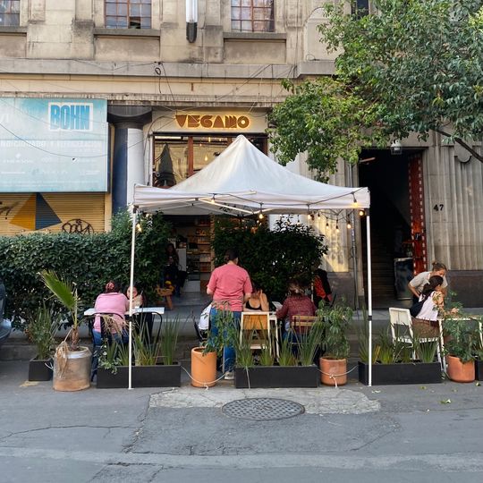 Vegamo MX