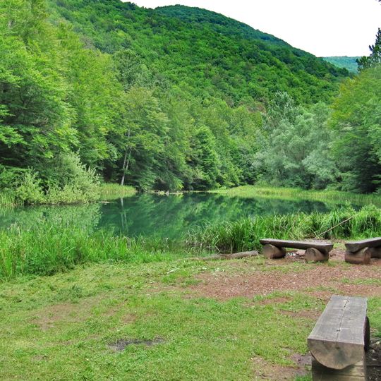 Distretto di Pomoravlje