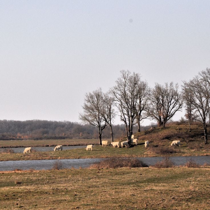 Réserve Naturelle de Chérine