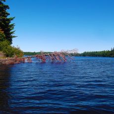 Opeongo Lake