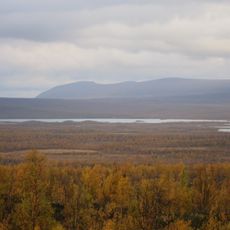 Ultevis fjällurskog