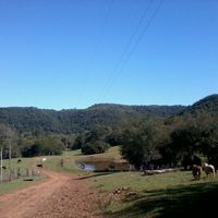 São Francisco de Assis