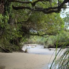 Kahurangi National Park