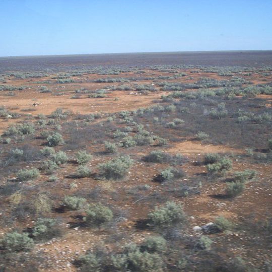 Nullarbor National Park