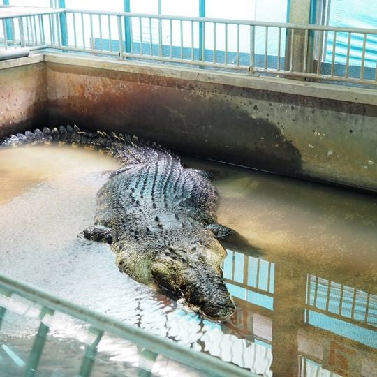 世界蛇王教育農場