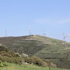 Punta Salici
