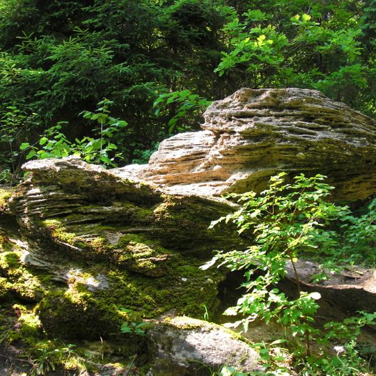 Ausiutiškės conglomerate