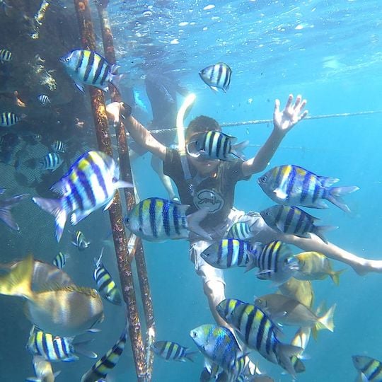 Bangsring Under Water