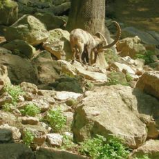Ljubljana Zoo