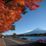 Die roten Ahornbäume des Sees Kawaguchi