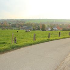 Kokerelle
