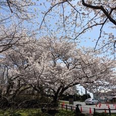 Abeyama Park