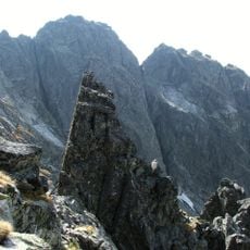 Czarny Mniszek