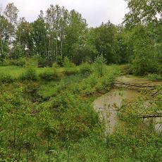 Kiesgrube (Restloch) Göritzhain