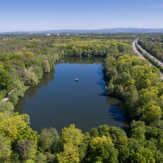 Mooswälder bei Freiburg