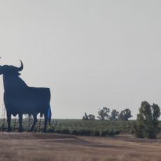 Toro Osborne XVII