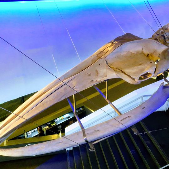 Museu Blau de les Ciències Naturals