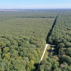 Forêt de Cîteaux