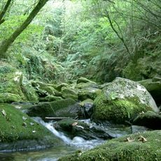 Parco naturale delle Fragas do Eume